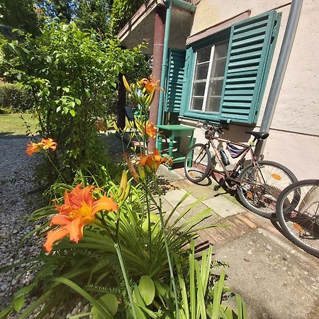 Garden Budha Relax Apartman, Parking, Bbq, Terrace Σίοφοκ Εξωτερικό φωτογραφία