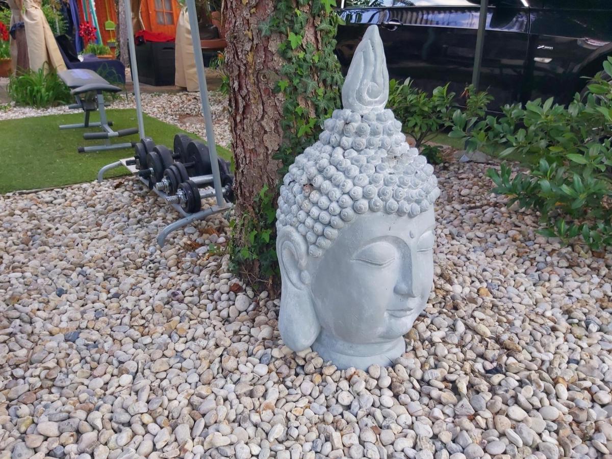 Garden Budha Relax Apartman, Parking, Bbq, Terrace Διαμέρισμα Σίοφοκ Εξωτερικό φωτογραφία