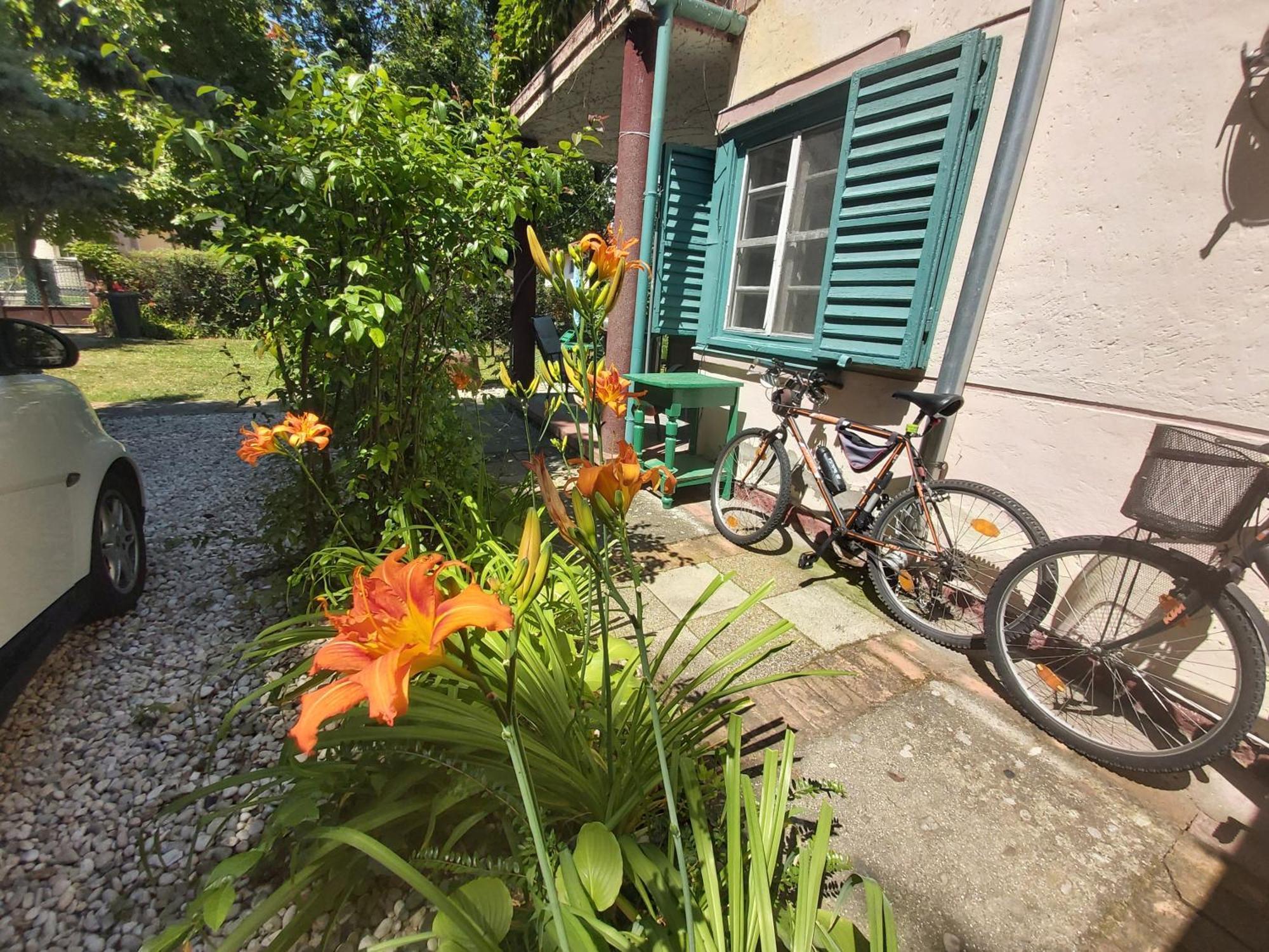 Garden Budha Relax Apartman, Parking, Bbq, Terrace Σίοφοκ Εξωτερικό φωτογραφία