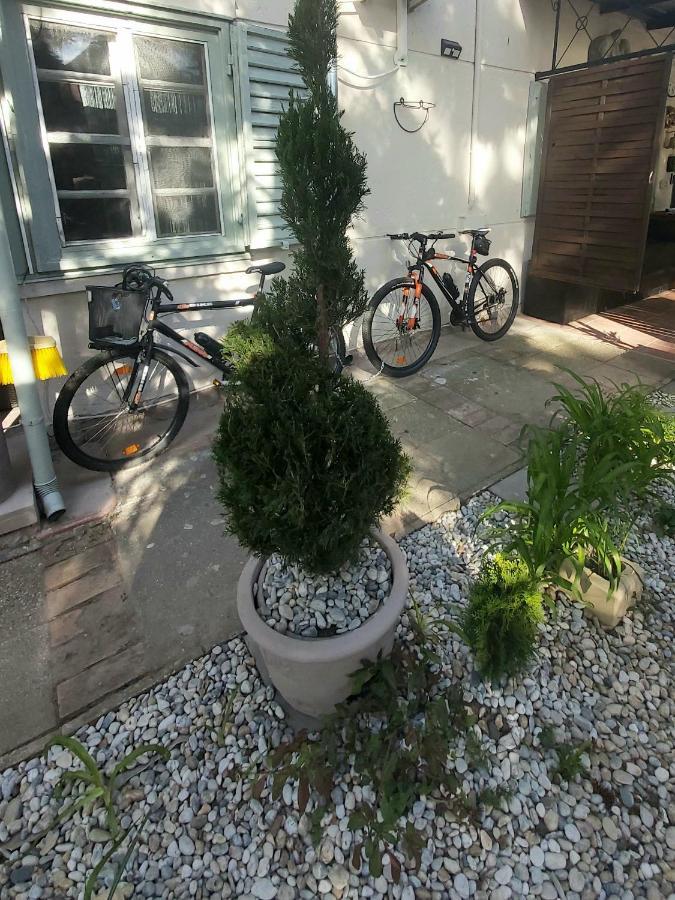 Garden Budha Relax Apartman, Parking, Bbq, Terrace Διαμέρισμα Σίοφοκ Εξωτερικό φωτογραφία