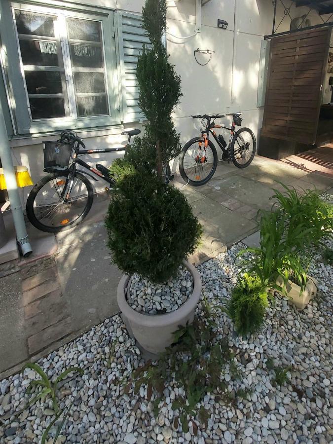 Garden Budha Relax Apartman, Parking, Bbq, Terrace Σίοφοκ Εξωτερικό φωτογραφία