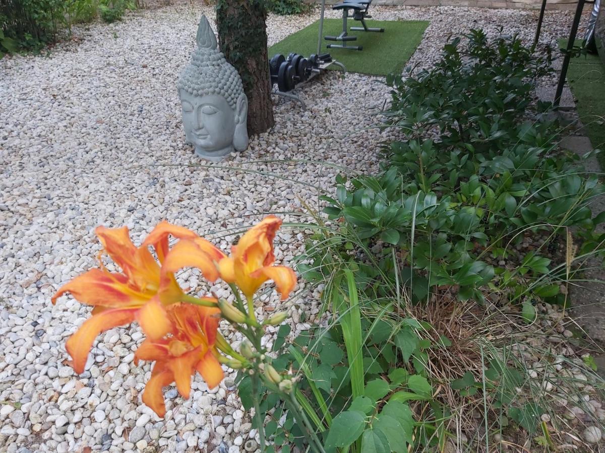 Garden Budha Relax Apartman, Parking, Bbq, Terrace Σίοφοκ Εξωτερικό φωτογραφία
