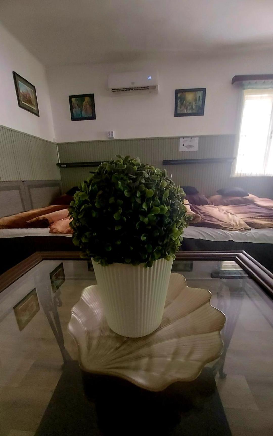 Garden Budha Relax Apartman, Parking, Bbq, Terrace Σίοφοκ Εξωτερικό φωτογραφία